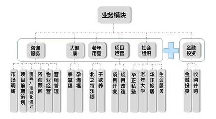智慧康養(yǎng)新標(biāo)桿 揭秘XX企業(yè)高效協(xié)同的產(chǎn)業(yè)運(yùn)作模式